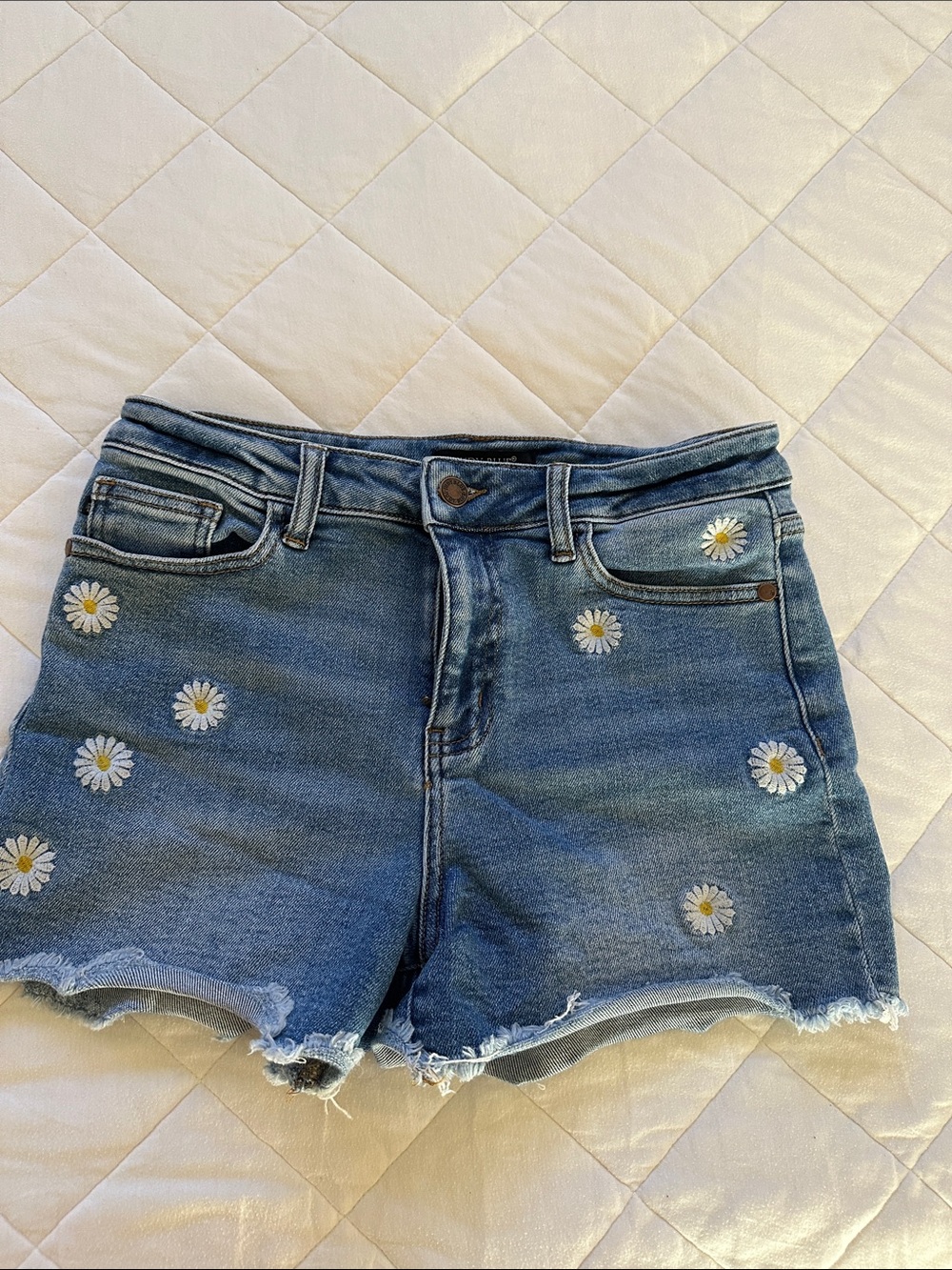 Judy Blue Daisy Embroidered Denim Women's Shorts - Blue